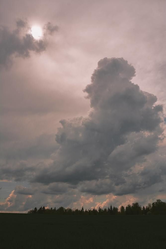 Фотография автора Алина Василькова