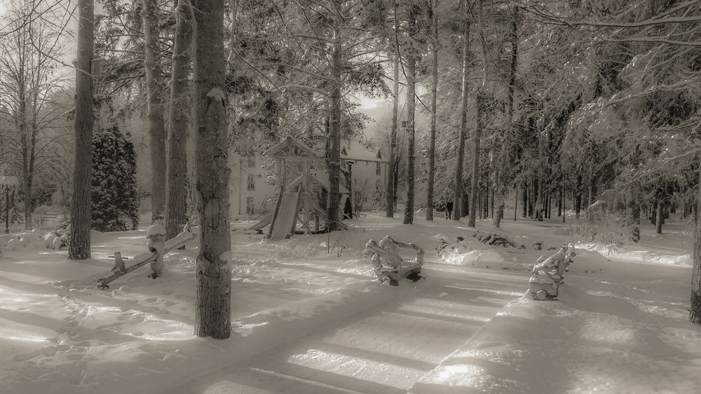 Фотография автора Олег Черкасов