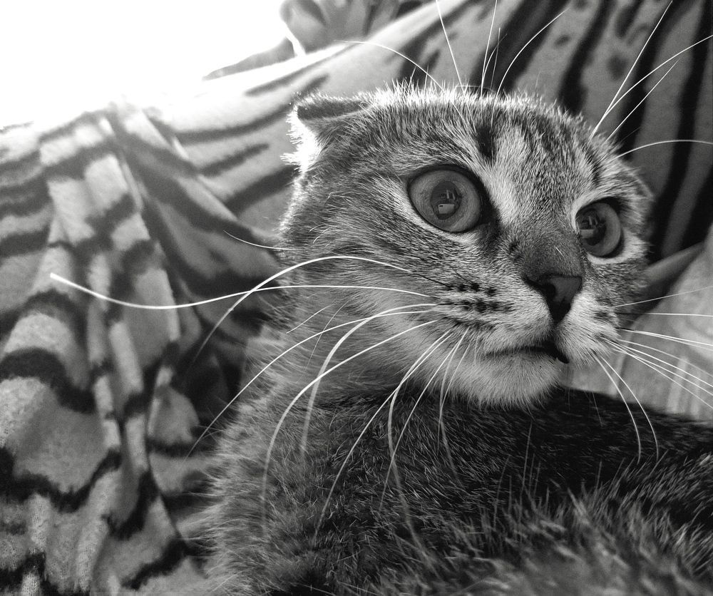 Photograph by Миша Азиатцев