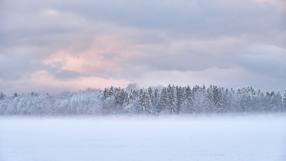 Photograph by Alla Matrosova