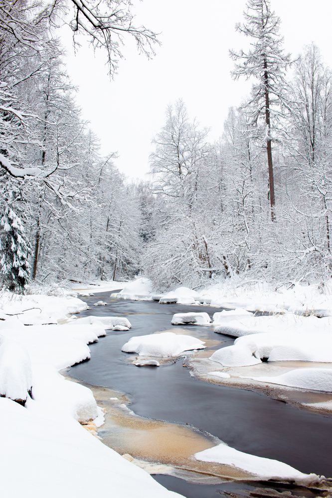 Фотография автора Лукьянов Евгений