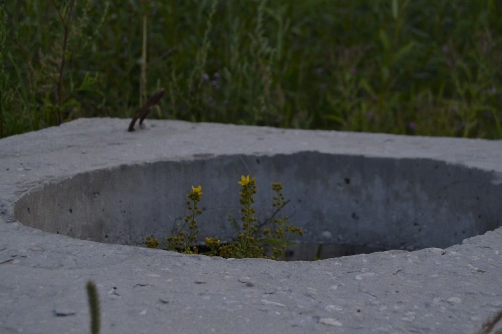 Фотография автора Антонина Клементьева