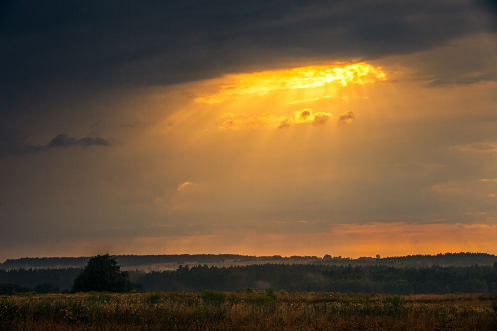 Photograph by Wiktor Kulesa