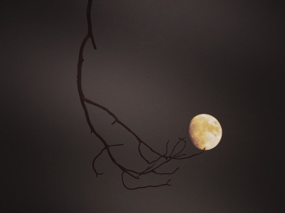 Фотография автора Mahdi Mohammadi