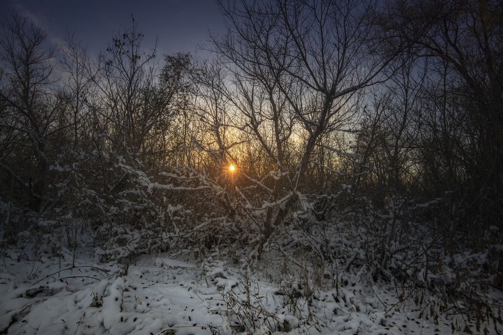 Фотография автора Антонов Антон