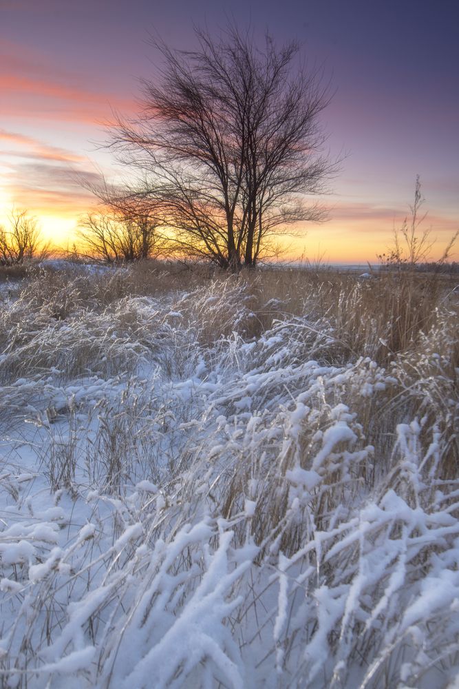 Фотография автора Антонов Антон