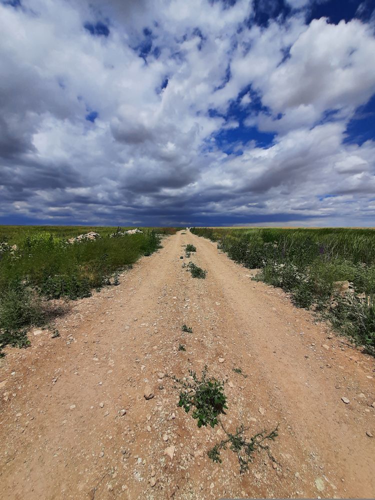 Photograph by Osman ATAOĞLU