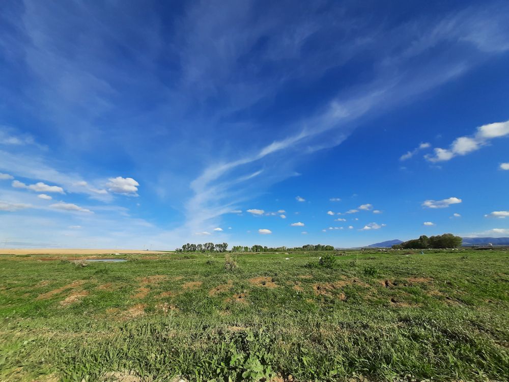 Photograph by Osman ATAOĞLU