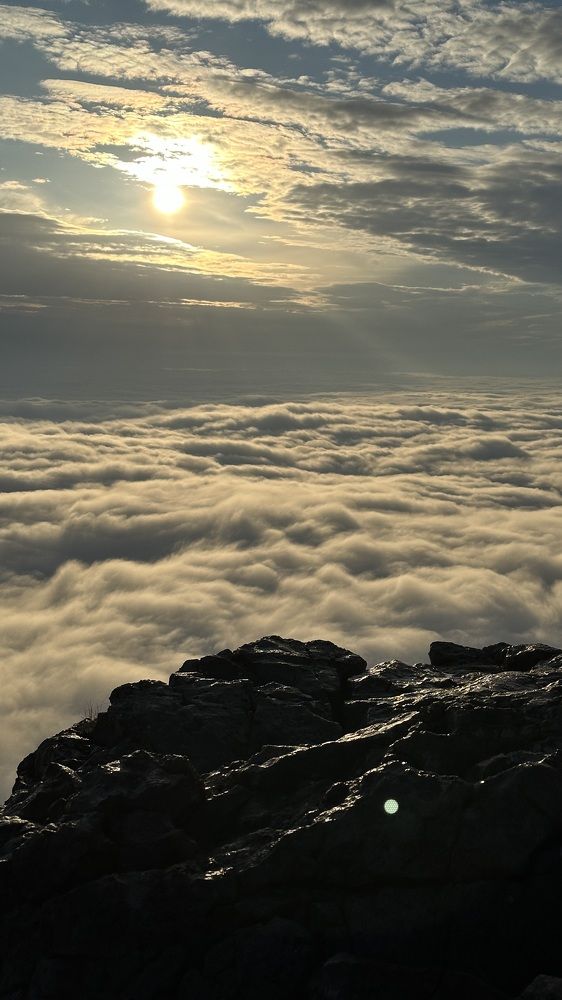 Photograph by Antonina Marchenko