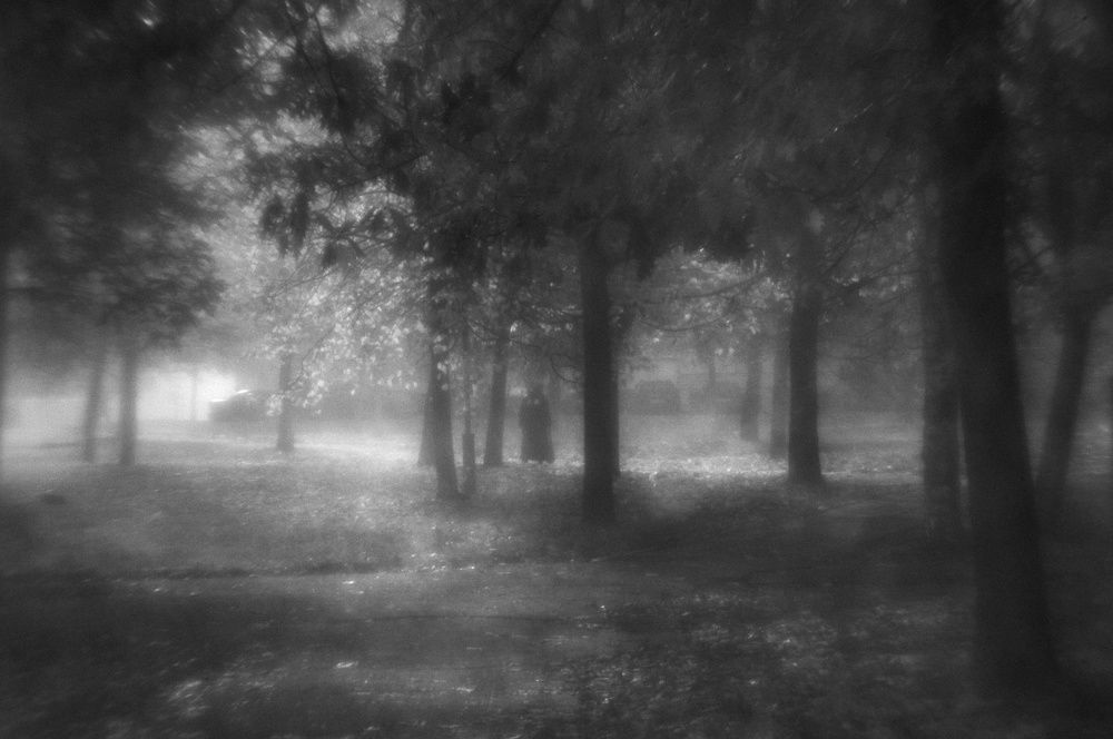 Photograph by Владимир Гаманович