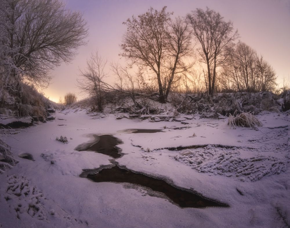 Фотография автора Котов Андрей