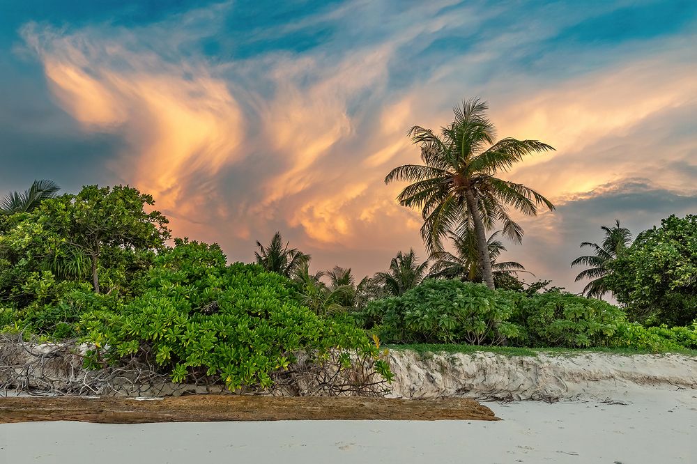 Фотография автора Дмитрий Потапов