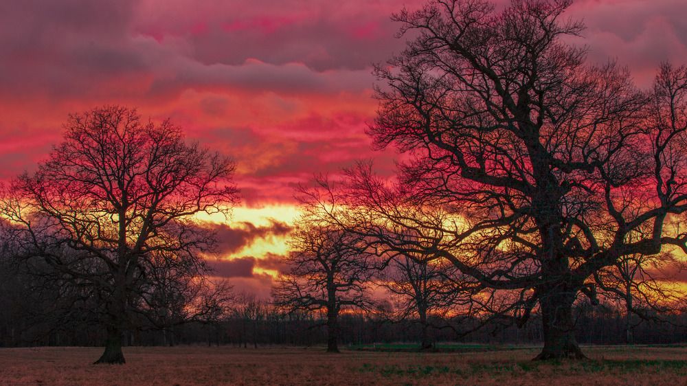 Photograph by Wiktor Kulesa