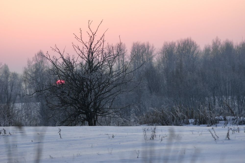 Фотография автора Galina Sa