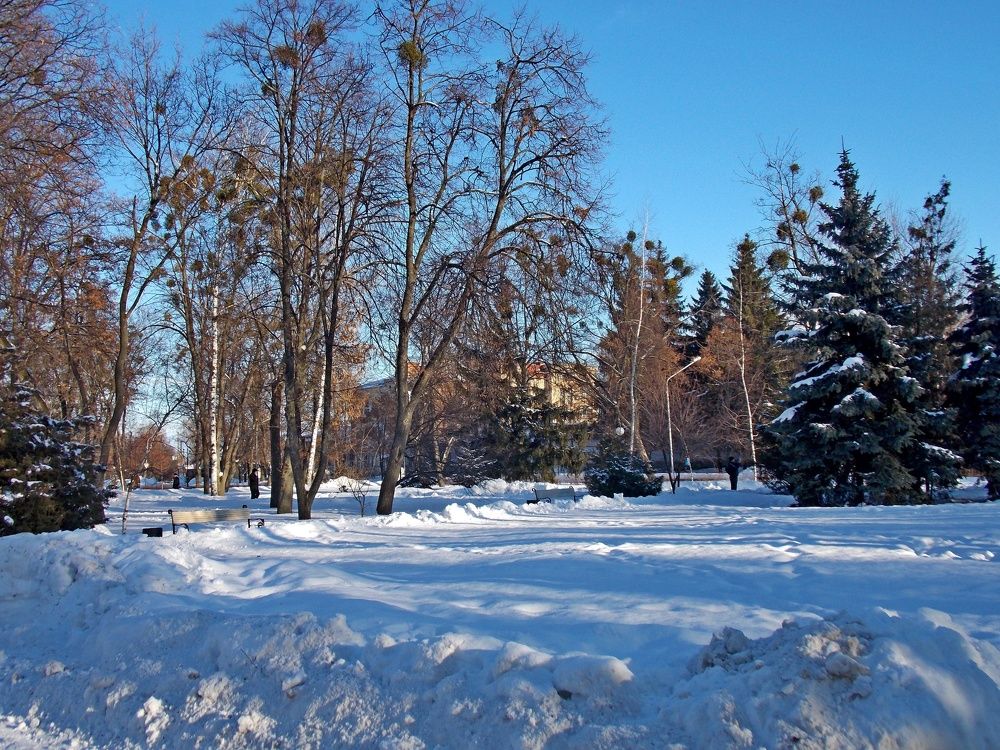 Photograph by Олександр Розум