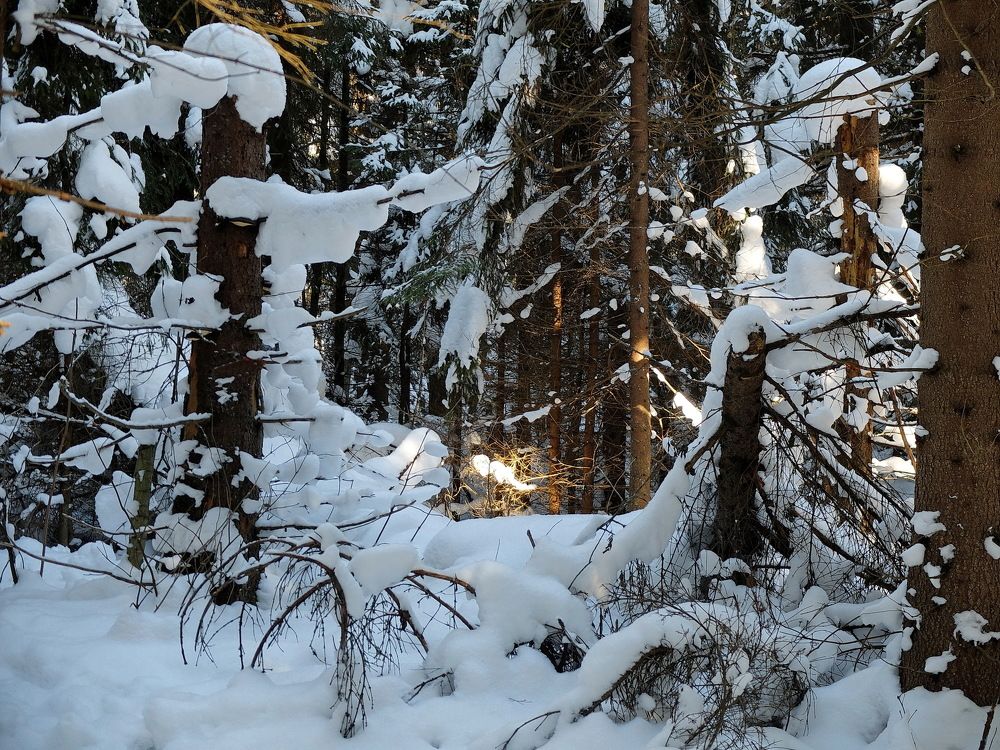 Photograph by Margarita Malikova