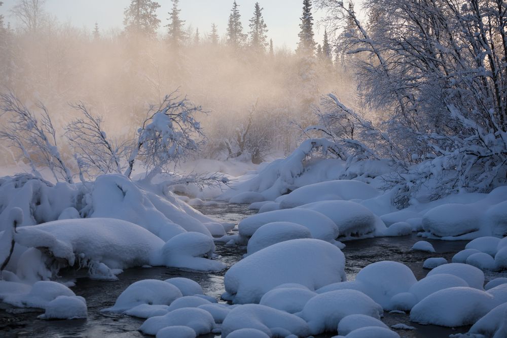 Photograph by Мария Казакова