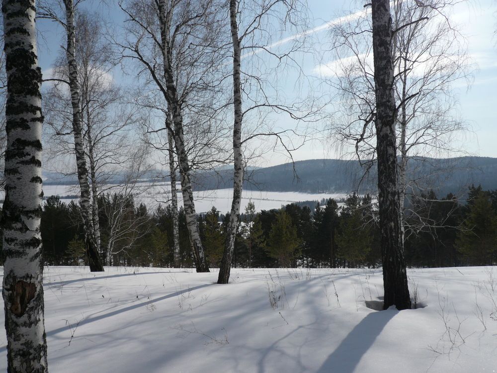 Photograph by Margarita Malikova