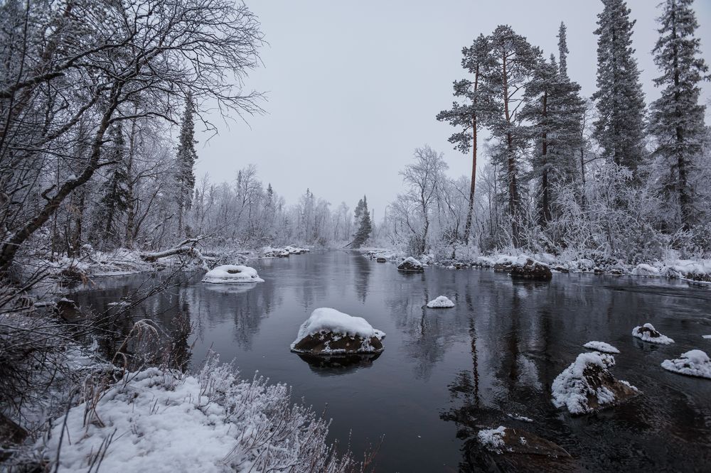 Photograph by Мария Казакова