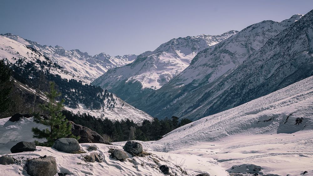 Photograph by Виталий Павлов