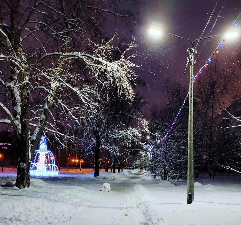 Фотография автора Светлана Смирнова