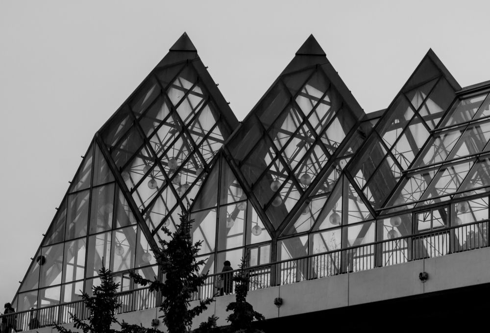 Photograph by Ольга Заповедная