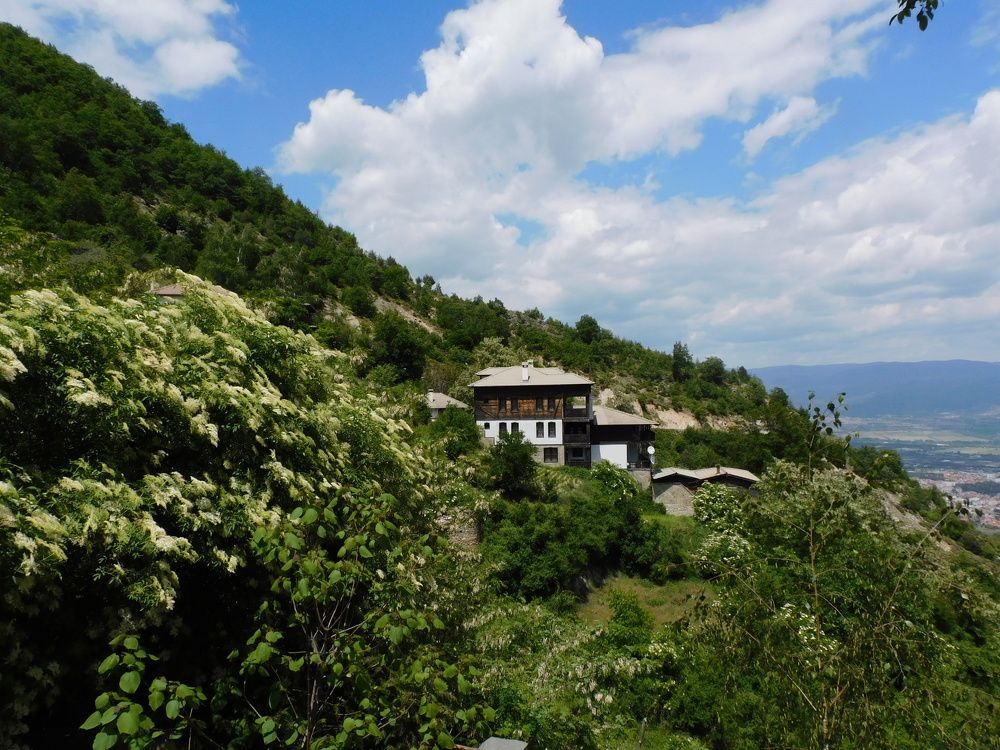 Photograph by Алмерия Монева