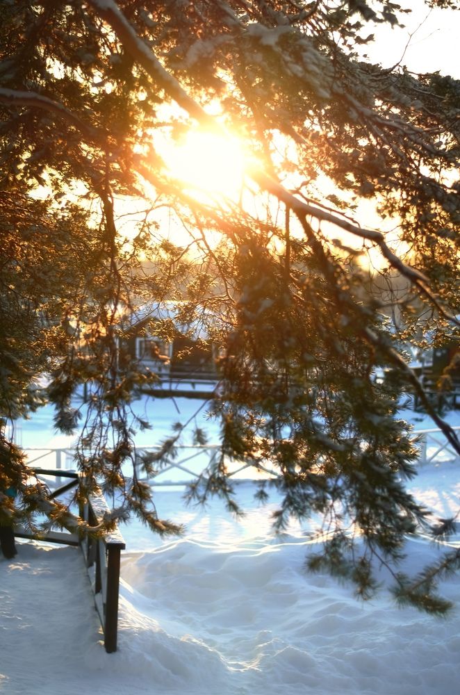 Photograph by Мария Заборовская