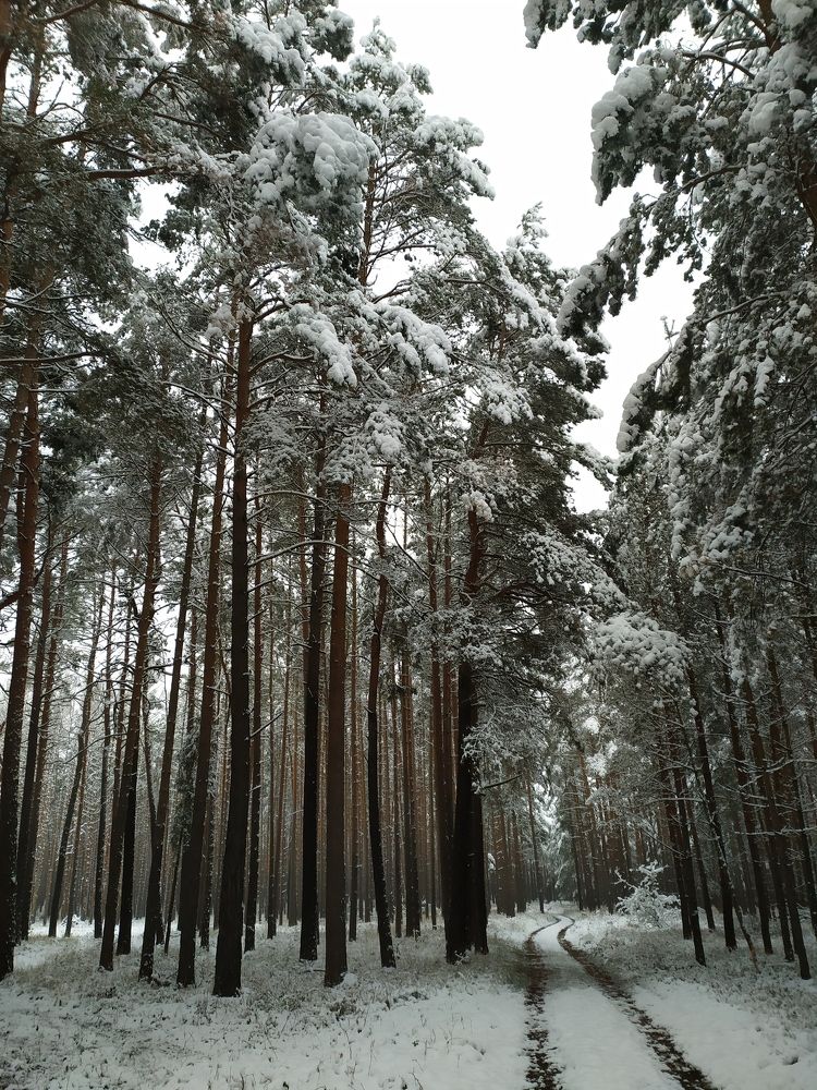 Photograph by Oleg Yashin