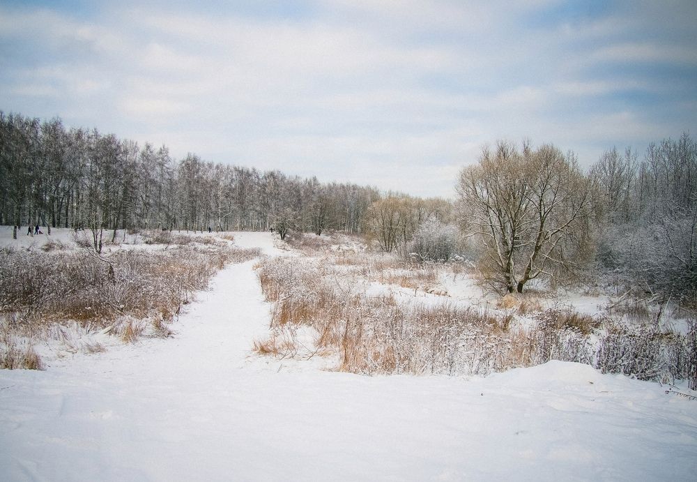 Photograph by Владимир Поздняков