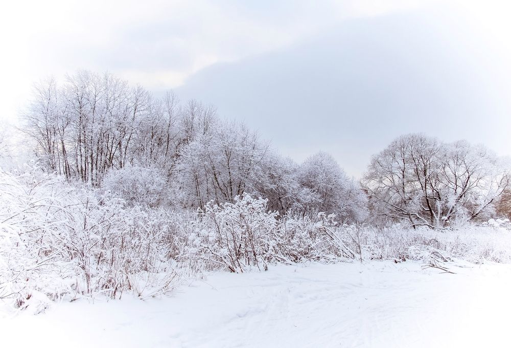 Photograph by Владимир Поздняков