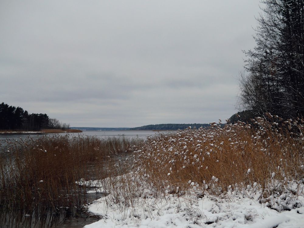 Photograph by Серафима Силина