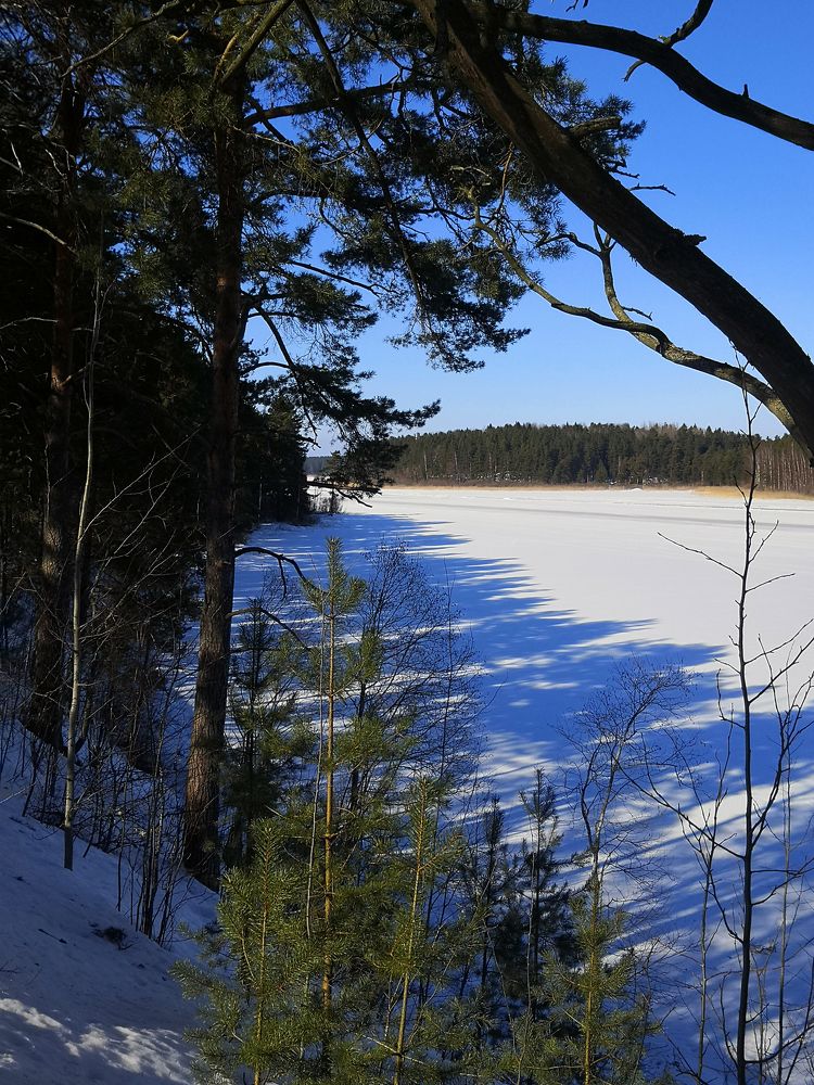 Photograph by Серафима Силина