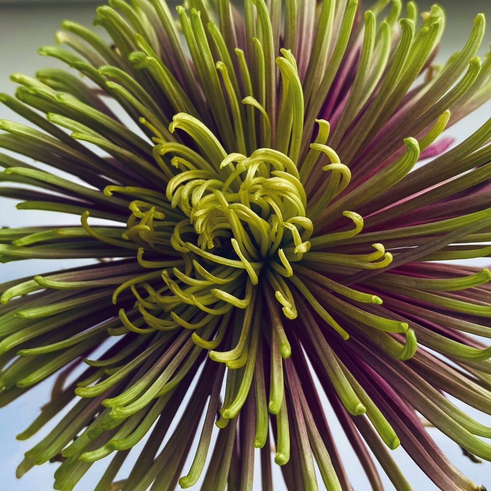 Photograph by Сергей Смирнов