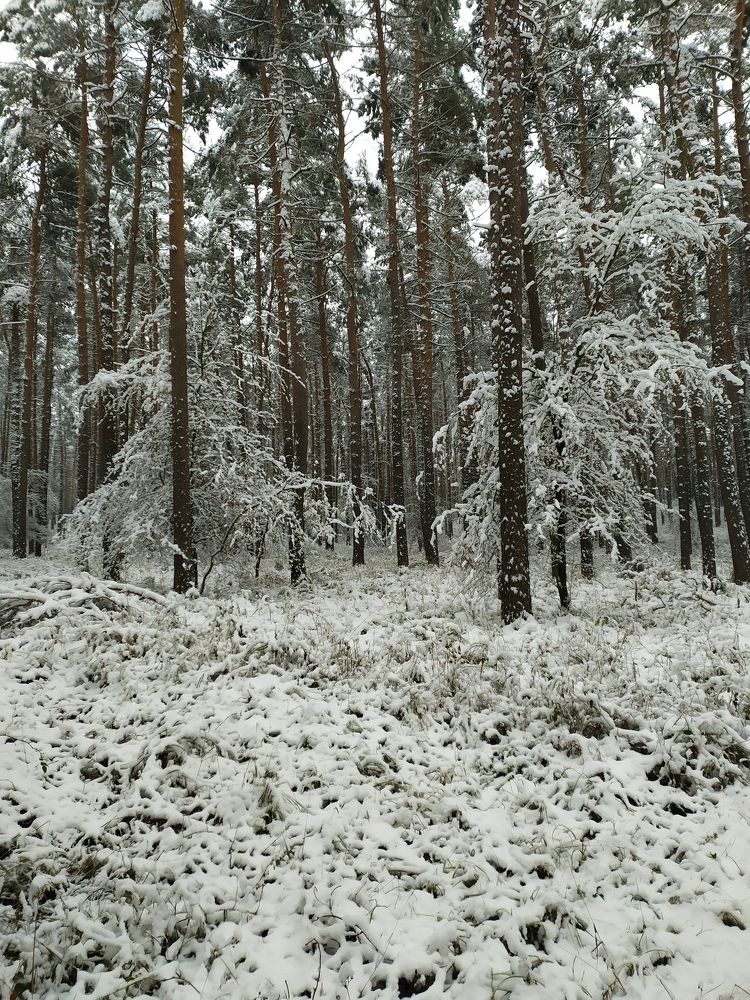 Photograph by Oleg Yashin