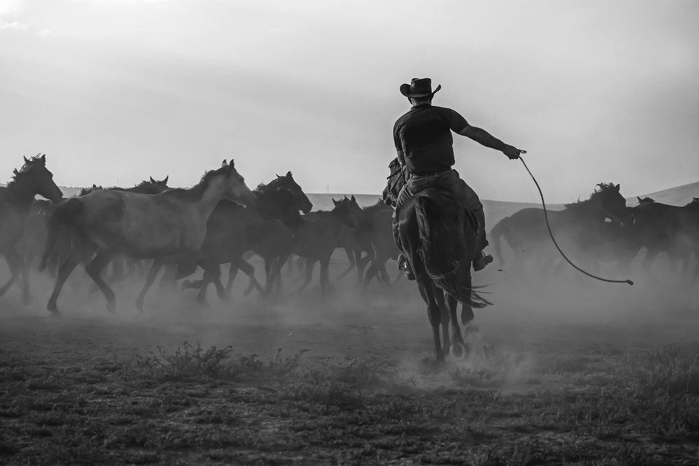 Photograph by Uğur kaygusuz