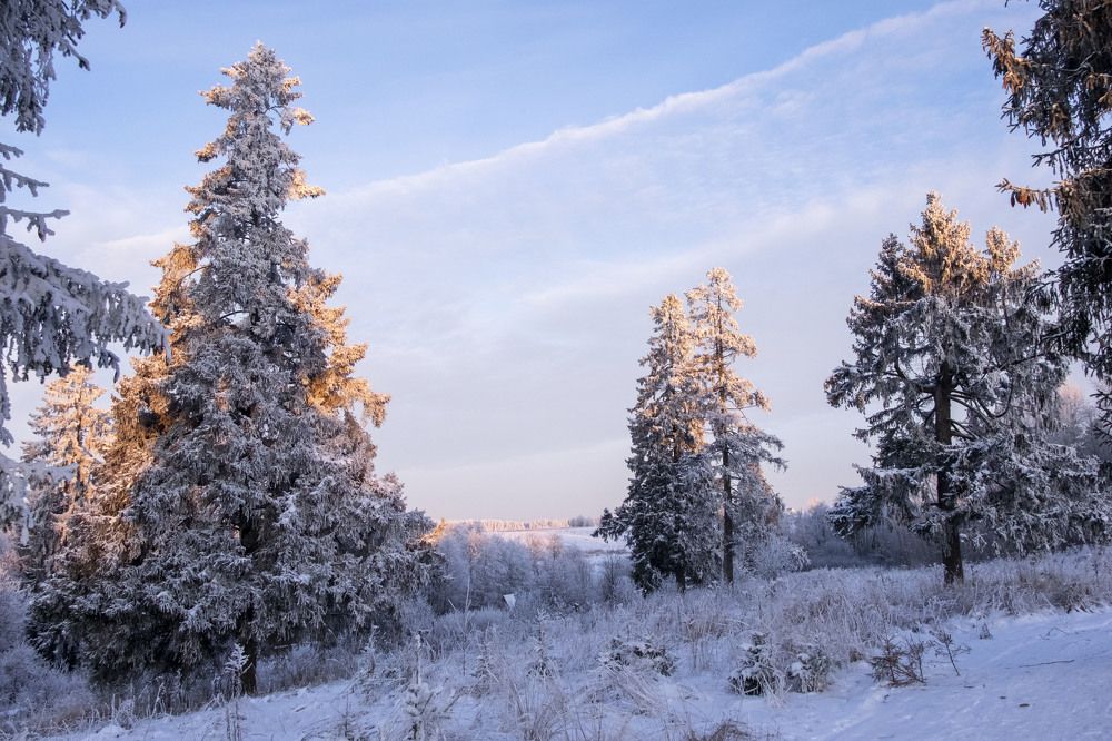 Фотография автора Наталья Липовская