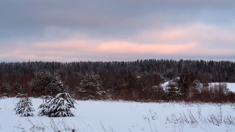 Зимняя природа