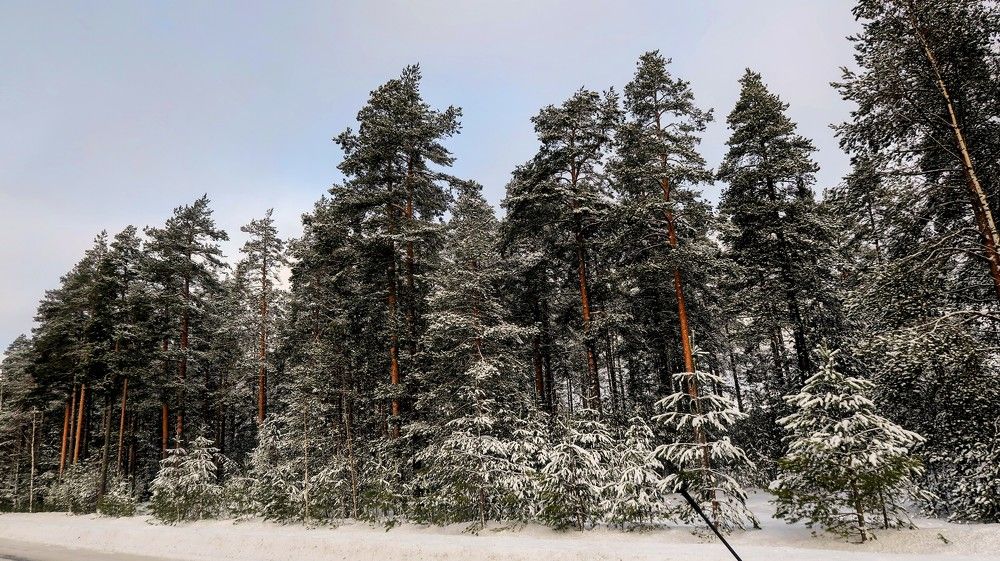 Photograph by Dark Ambient