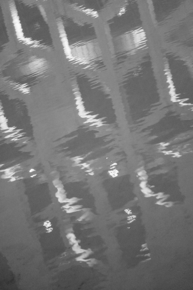 Photograph by Patricia Delionardis