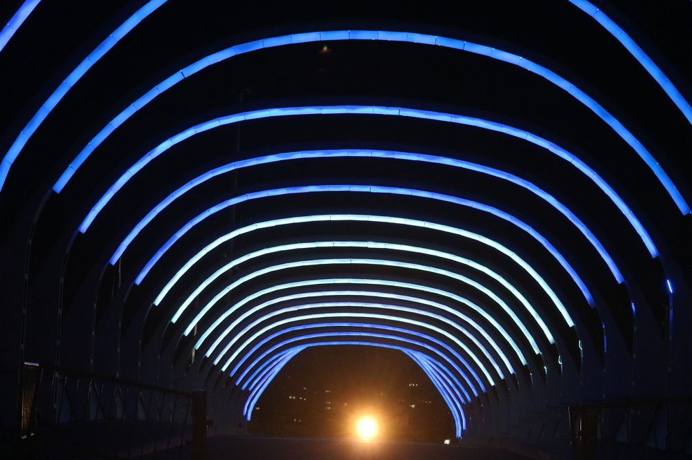 Photograph by Patricia Delionardis