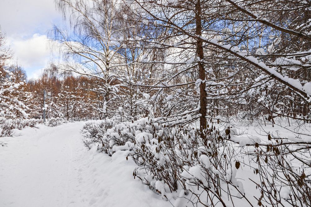 Photograph by Ksenia Kouri