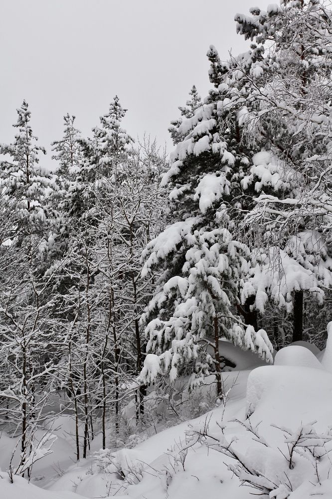 Фотография автора Nadezhda