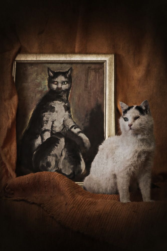 Photograph by Румен Сомов