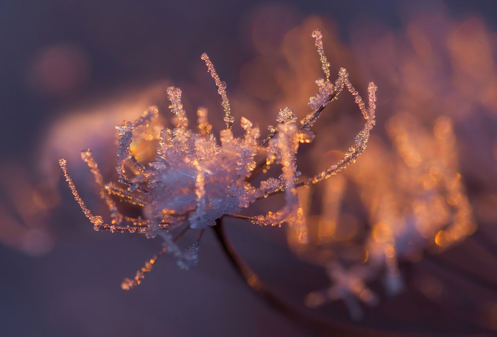 Photograph by Марина Мурашова