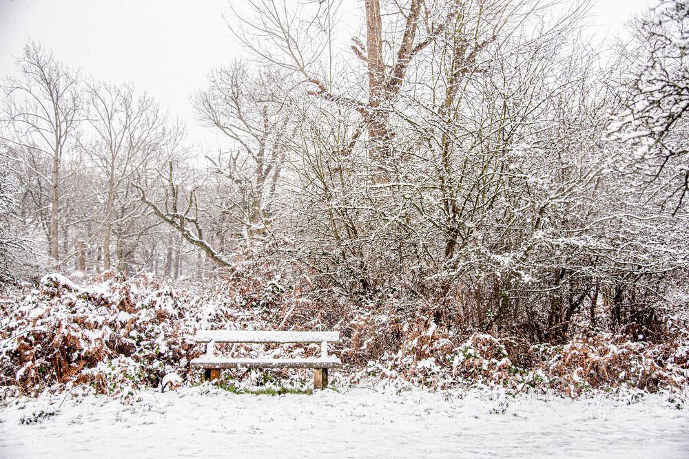 Photograph by Giacomo Giannelli