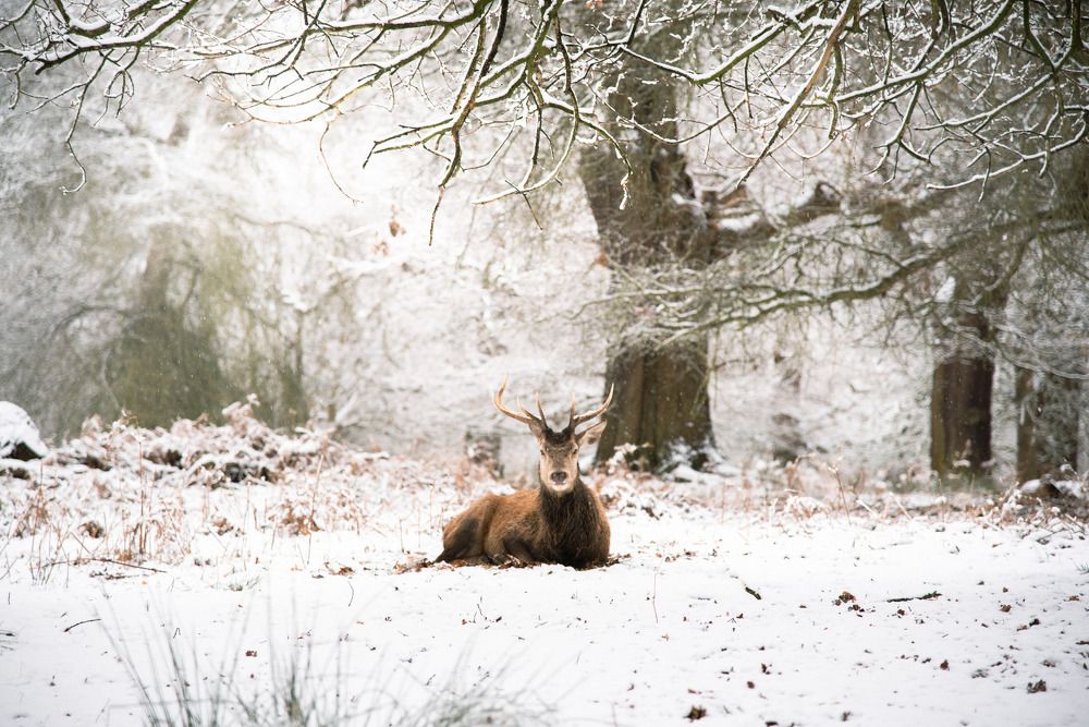 Photograph by Giacomo Giannelli