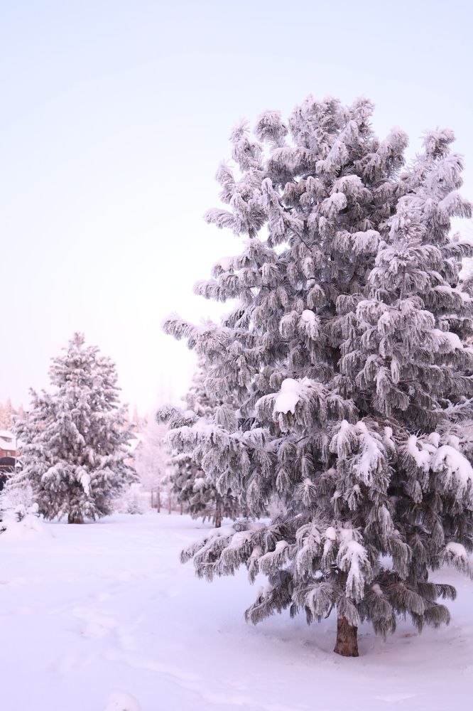 Photograph by Бальзирова Наталья