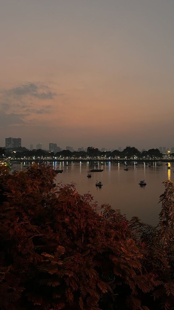 Фотография автора София