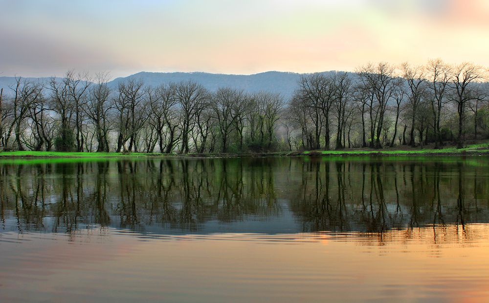 Photograph by 